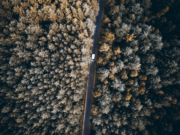 La transformation digitale : les clés pour une transition en douceur vers un nouveau site web