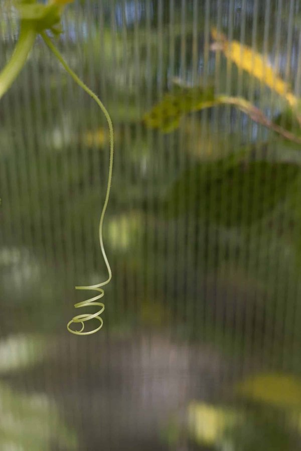 les jeux vidéo basés sur des franchises de films et séries populaires